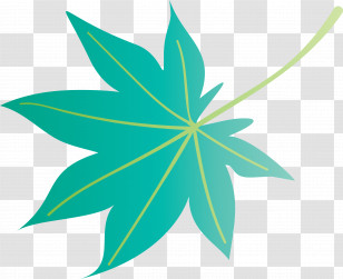 Autumn Leaf Colourful Foliage Colorful Leaves Transparent PNG