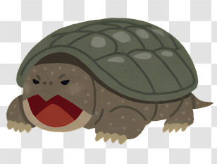 Icon - Angry Turtle Cartoon Transparent PNG