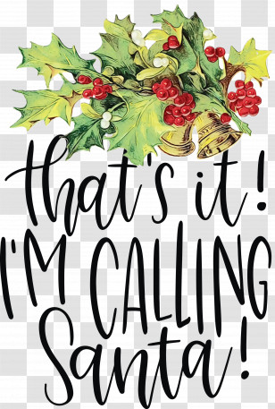 Floral Design Transparent PNG