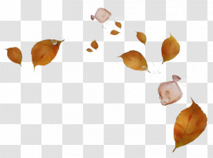 Leaf Biology Plants Science Plant Structure Transparent PNG
