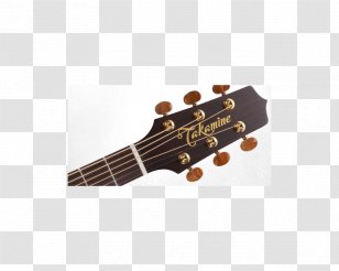 Acoustic Guitar Rio De Janeiro Takamine Guitars Classical - Tree Transparent PNG