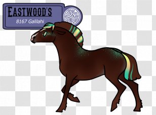 Mustang Stallion Foal Colt Mare - Sport Transparent PNG