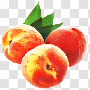 Gum Tree - Clausena Lansium - Vegetarian Food Drupe Transparent PNG