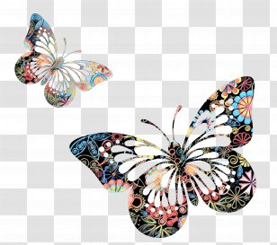 Pop Art Retro Vintage - Pieridae Pollinator Transparent PNG