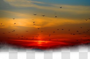 Sunset Sky Cloud - Dusk - Under The Birds Transparent PNG