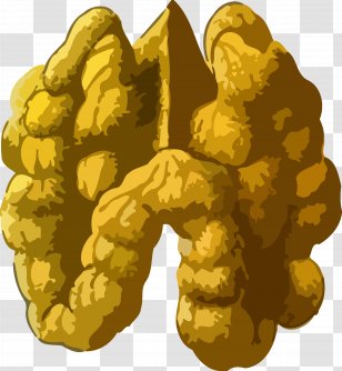 English Walnut Veggie Burger Clip Art - Peanut Transparent PNG