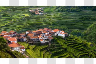 Arcos De Valdevez Sistelo Vez River Soajo Alto Minho - Field - Algarve Transparent PNG