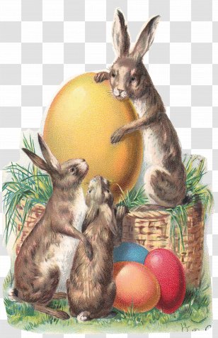 Easter Bunny Postcard Paper - Craft - Gold Transparent PNG