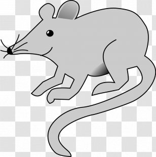 Rat Mouse Clip Art - Snout - Fleas Transparent PNG