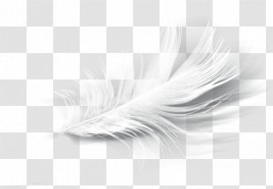 Feather Product Design Eyelash - Monochrome Photography Transparent PNG