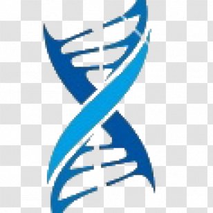 DNA Nucleic Acid Double Helix Logo Medicine - Dna Paternity Testing - Molecules Transparent PNG
