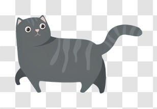 Black Cat - Cartoon Gray Cat Illustration Transparent PNG