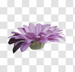Lavender Lilac Violet Purple Flower - Mystique Transparent PNG