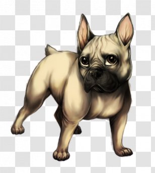 Bulldog Drawing - Ancient Dog Breeds Pug Transparent PNG