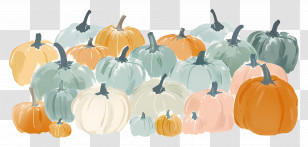 Pumpkin Patch - Assorted Pumpkins For Autumn And Harvest Season Transparent PNG
