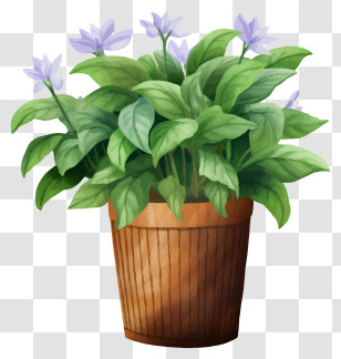 Succulent Plant - Flowering Green Plant In Wooden Pot Transparent PNG