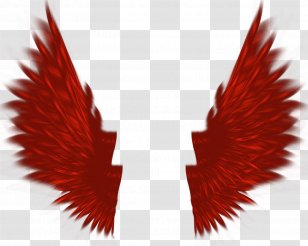 Red Icon - Flower - Wings Transparent PNG