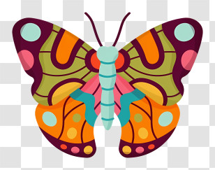 Butterfly - Colorful Butterfly With Intricate Design Transparent PNG