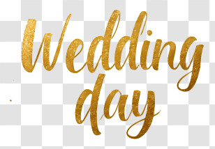 Wedding Day - Wedding Day Gold Script Transparent PNG
