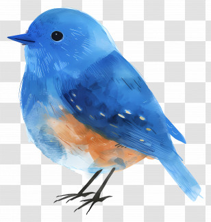 Blue Bird - Bluebird Illustration With Vibrant Colors Transparent PNG