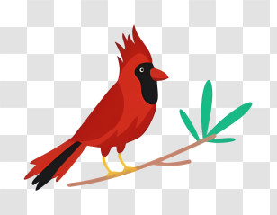 Bird Parrot - Red Cardinal Bird On Branch Illustration Transparent PNG