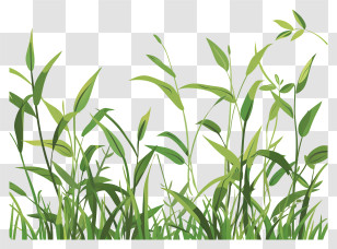 Spring Grass Border - Green Grass Illustration Transparent PNG
