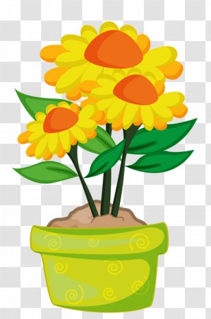 Royalty-free Image Stock Photography Illustration Drawing - Tagetes - Spring Planting Clipart Transparent PNG