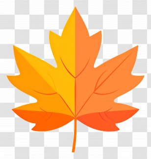 Autumn Maple Leaf - Orange Maple Leaf Illustration For Autumn Themes Transparent PNG