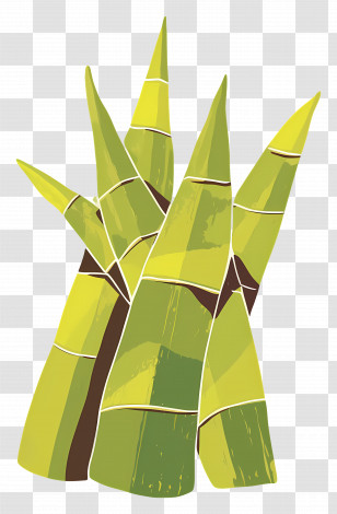 Bamboo Shoots - Bamboo Shoots Illustration Transparent PNG