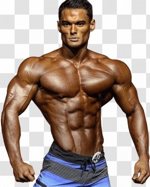 Mark Jindrak 2017 Mr. Olympia Professional Wrestler Wrestling Physical Fitness - Cartoon - Bodybuilding Transparent PNG