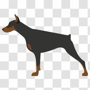 Dobermann German Pinscher Miniature Manchester Terrier Dog Breed - Vertebrate - DOBERMAN PINSCHER Transparent PNG