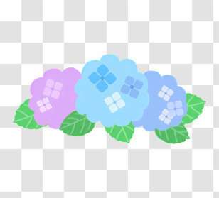 Hydrangea - Cute Floral Decoration With Blue And Purple Flowers Transparent PNG