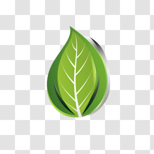 Green Energy - Green Leaf Illustration Transparent PNG