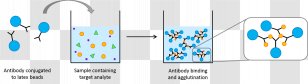 Agglutination Latex Beads Fixation Test Antibody Assay - Brand Transparent PNG