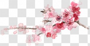Floral Design Toy Gift Blossom - Wedding - Cherry Transparent PNG