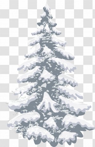 Christmas Tree Snow Fir Pine - Trees Transparent Png