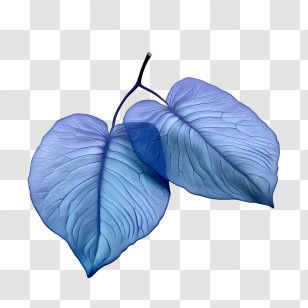 Blue Leaves - Thin Blue Leaves Artistic Illustration Transparent PNG