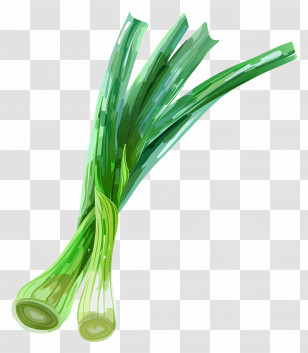 Green Onions - Fresh Green Onions Transparent PNG