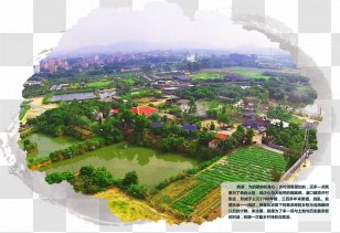 Urban Design Hill Station Water Resources Tree Bird's-eye View - Area - Huang Transparent PNG