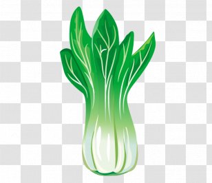 Chinese Cabbage Leaf Vegetable Transparent PNG