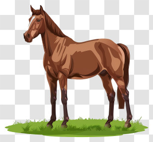 Brown Horse - Brown Horse Illustration Transparent PNG