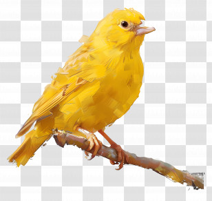 Canary - Yellow Bird Perched On A Branch Transparent PNG