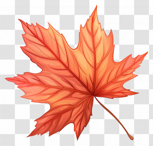 Maple Leaf - Orange Autumn Maple Leaf Illustration Transparent PNG