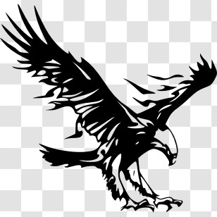 Eagles Logo - Bold Black Eagle Illustration Transparent PNG