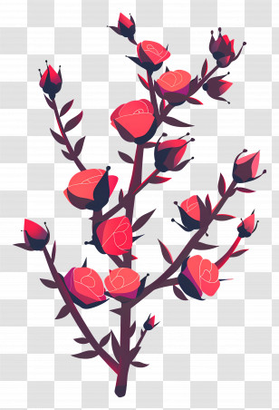 Rose Thorns - Beautiful Flowering Rose Branch Transparent PNG