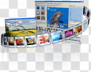 Reversal Film Multimedia Photographic Photography - Clausthalzellerfeld Transparent PNG