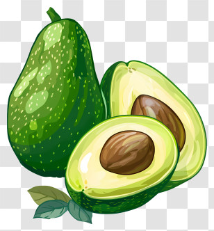 Avocado Fruit - Whole And Sliced Avocado Illustration Transparent PNG