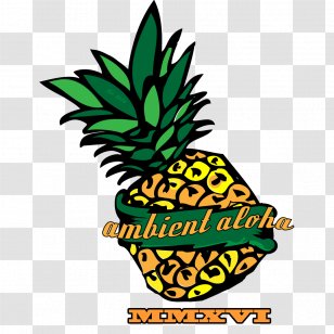 Pineapple Bromeliads Plant Food - Aloha Transparent PNG