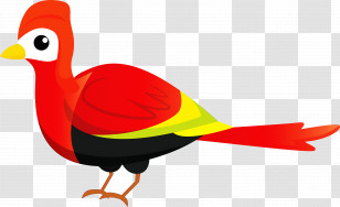 Birds Duck Bluebirds Songbirds Rufous Hummingbird Transparent PNG