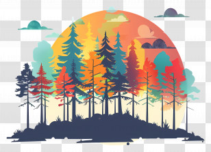 Nature Background - Sunset Forest Silhouette Transparent PNG